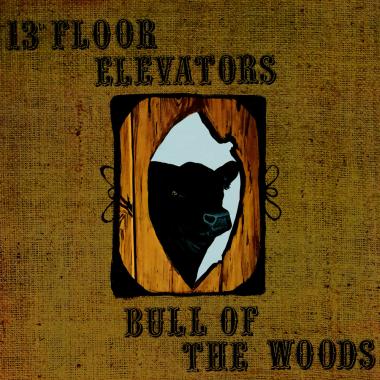 13th Floor Elevators -  Bull of the Woods